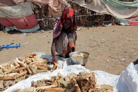 سازمان ملل: گرسنگي، زندگي ميليون ها نفر را در يمن تهديد مي كند