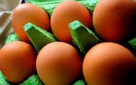 كاهش خطر سكته مغزي با مصرف تخم مرغ در وعده صبحانه