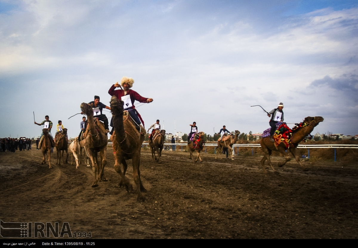 IRNA English - Camel riding competition in Bandar Turkman