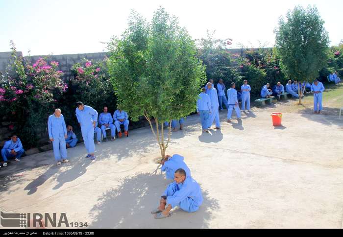  قانون حمایت از بیماران مبتلا به اختلالات روان به کجا ختم شد؟