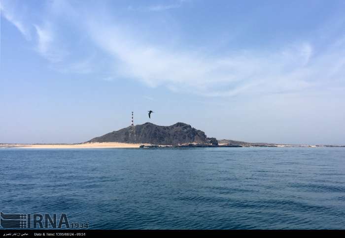 «فارور و بنیفارور»؛ زمردهای بکر خلیج فارس در آغوش آبی دریا