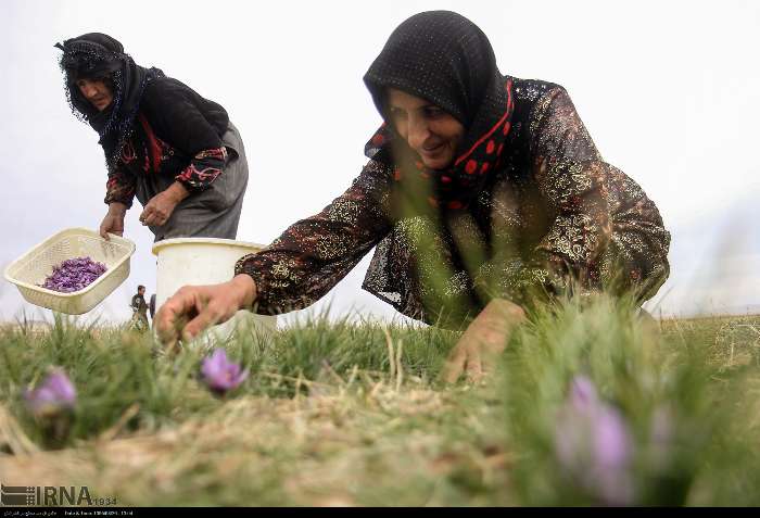 ۹۲ هزار زن روستایی و عشایری در آذربایجان غربی بیمه شدند