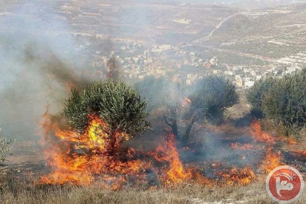 آتش سوزی در فلسطین اشغالی به نزدیكی شهر نابلس رسید