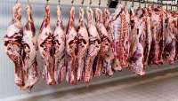 قیمت گوشت قرمز در یاسوج متناسب با قیمت دام زنده نیست