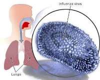 درمان خودسرانه آنفلوآنزا مدت بیماری را طولانی می كند