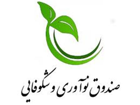 اختصاص 660 میلیارد تومان اعتبار به صندوق نوآوری و شكوفایی در سال 96