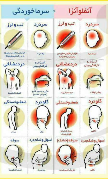 شدت و سرعت  ابتلاو سرايت لزوم پيشگيري از آنفلوانزا را گوشزد مي كند