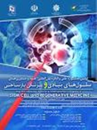 كنگره بین المللی سلول های بنیادی در مشهد برگزار می شود