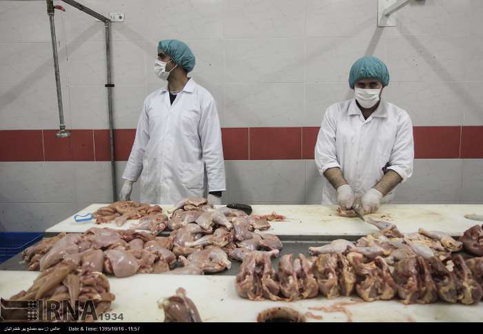 عرضه گوشت مرغ بالاتر از نرخ مصوب در مشهد/ مسوولان: هفته آینده قیمت‌ها فروکش می‌کند