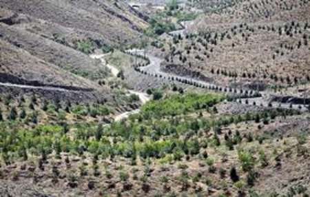 درختكاری دو هزار هكتار زمینهای كمربند سبز مشهد
