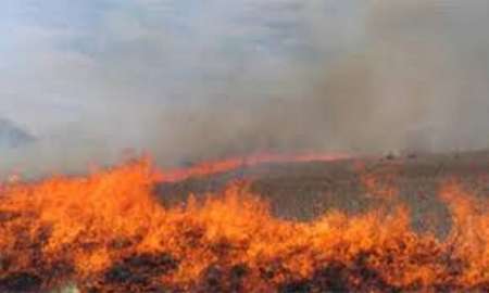 ممانعت از سرایت آتش اراضی كشاورزی حاشیه به جنگل توشن گرگان