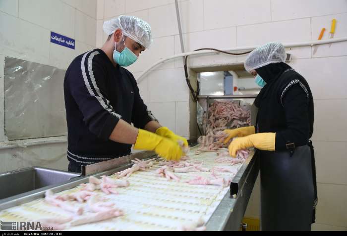 صدور بیش از 2 هزار تن پا و پنجه مرغ از نمین به خارج از كشور