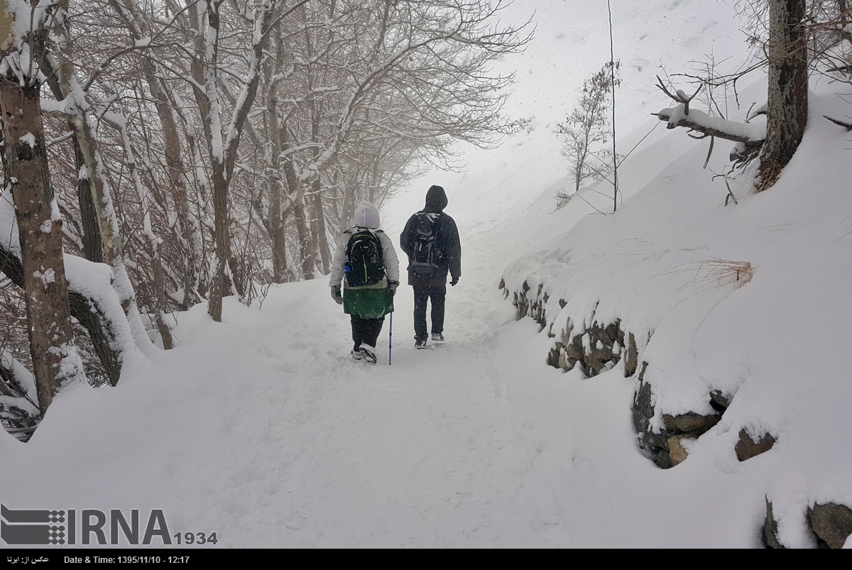 A snowy day in Kolakchal heights near Tehran