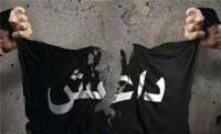 هلاكت 15 داعشی در تلعفر عراق