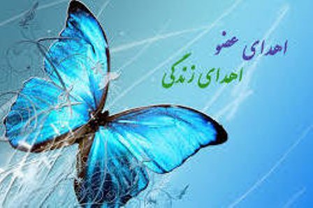 اهدای عضو به 2 بیمار نیازمند پیوند در شیراز