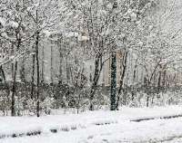 تداوم بارش برف  و باران تا 48 ساعت آينده در استان مركزي