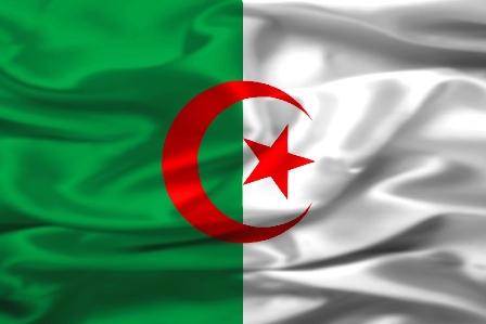 الجيش الجزائري يضبط كمية من الأسلحة الحربية بجنوب البلاد الجيش الجزائري يضبط كمية من الأسلحة الحربية بجنوب البلاد