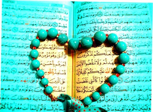 حضور كودك 6 ساله تا بزرگسال 60 ساله در مسابقات دارالقرآن امام علی(ع)