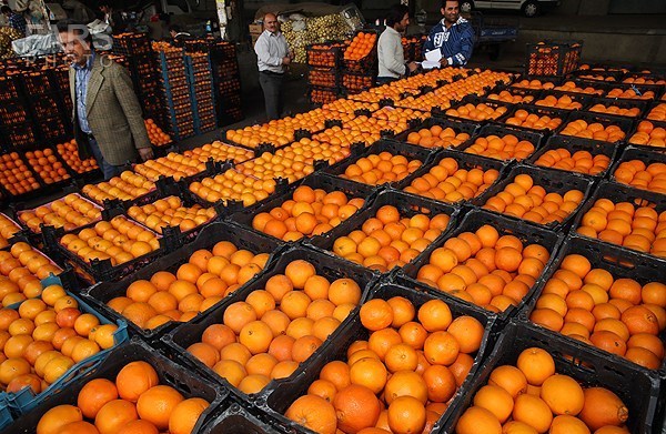 بازار پرتقال شب عيد با واردات رسمي تنظيم مي شود