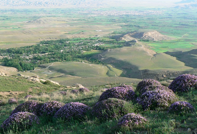 چایپاره؛ ظرفیت مغفول سرمایه گذاری - ایرنا