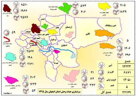 پایان سرشماری وحوش در مناطق حفاظت شده استان اصفهان