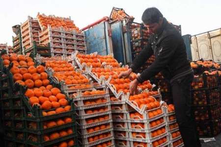 رئیس كشاورزی مازندران:اجازه خریدپرتقال های یخ زده را نمی دهیم