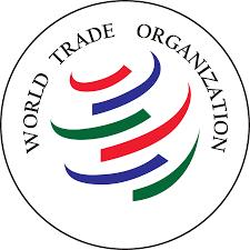 «تير»؛ پيش‌زمينه‌ پيوستن به WTO