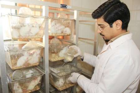 تنها آزمایشگاه فیزیولوژی حیوانات در دانشگاه آزاد اسلامی شاهرود