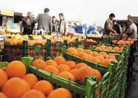 عرضه 900تن پرتقال و سيب شب عيد در مازندران عرضه 900تن پرتقال و سيب شب عيد در مازندران