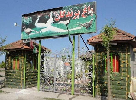 شكوه آسمان در باغ پرندگان آستارا شكوه آسمان در باغ پرندگان آستارا