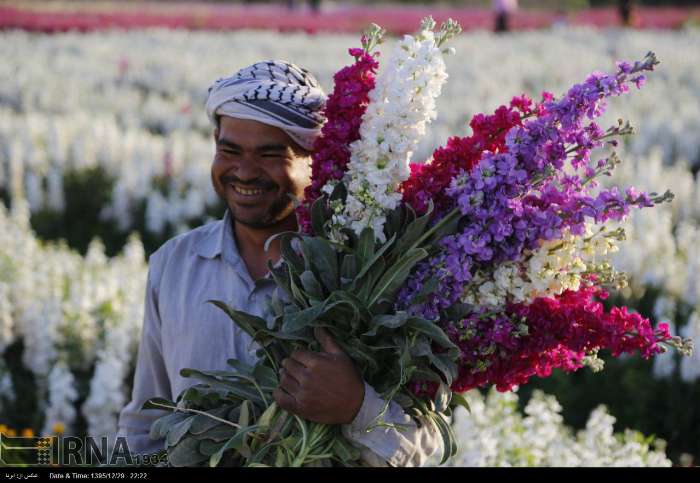 اردوی حمیدیه گردی از قصر تا مضیف