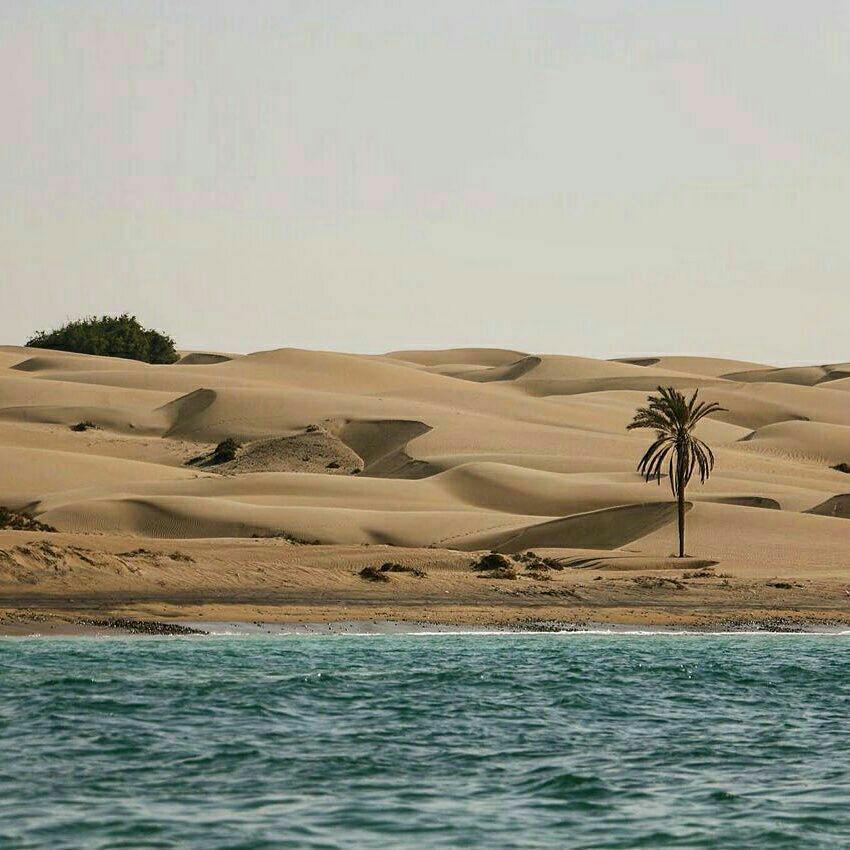 230 اثر طبيعي و تاريخي شهرستان ساحلي كنارك، جذاب براي گردشگران - ایرنا