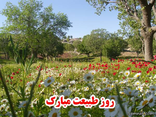 تلاش همگانی در نگهداری طبیعت با پیوستن به پویش های حفظ محیط زیست