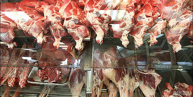 شكايت صادركنندگان دام زنده عليه اتحاديه گوشت گوسفندي