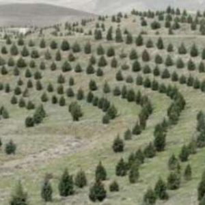 طرح های آبخیزداری همدان فرسایش خاك را كاهش داده است طرح های آبخیزداری همدان فرسایش خاك را كاهش داده است