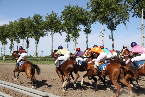 رقابت 87 راس اسب در هفته پنجم مسابقات اسبدواني كورس بهاره گنبدكاووس