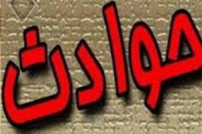 مرگ نوجوان 15 ساله براثر برق گرفتگي در نگين شهر گلستان - ایرنا
