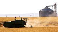 27 مركز خرید گندم در آذربایجان غربی راه اندازی شد