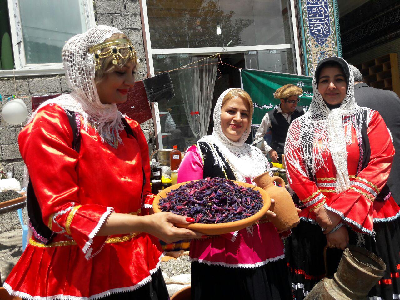 چهارمين جشنواره ملي گل گاوزبان در رامسر برگزار شد