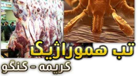 توضيحات دانشگاه علوم پزشكي اصفهان درباره آمار بيماري تب كريمه كنگو در اين استان