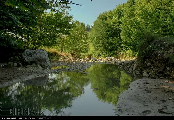 ایرنا طبیعت بهاری مازندران‎