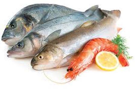 Three tons of edible fish exported from Bushehr to Qatar