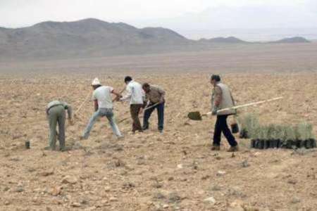 اجراي طرح هاي بيابان زدايي در 200 هكتار از زمين هاي هرمزگان