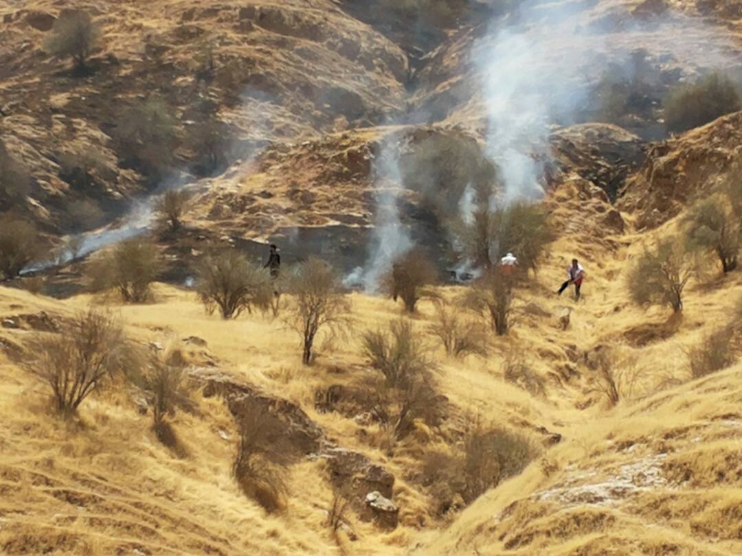 آتش سوزي در منطقه چم بركه شهرستان لالي مهار شد