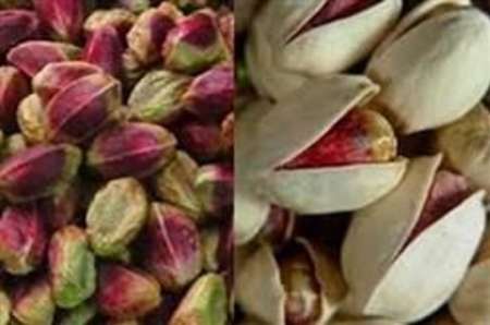 ارتفاع صادرات الفستق الايراني الي 1.2 مليار دولار في العام الماضي ارتفاع صادرات الفستق الايراني الي 1.2 مليار دولار في العام الماضي