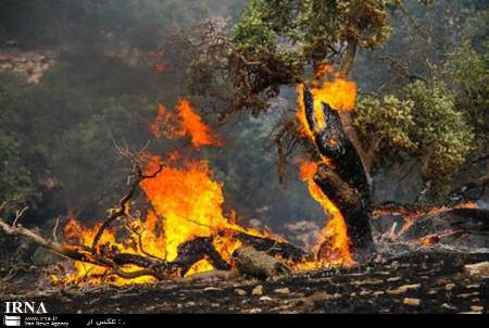 آتش سوزي در جنگل هاي بلوط منگره در انديمشك