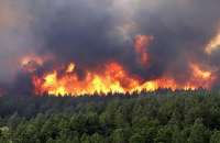 امسال 53 هكتار از جنگل‌ها و مراتع گچساران در آتش سوخت