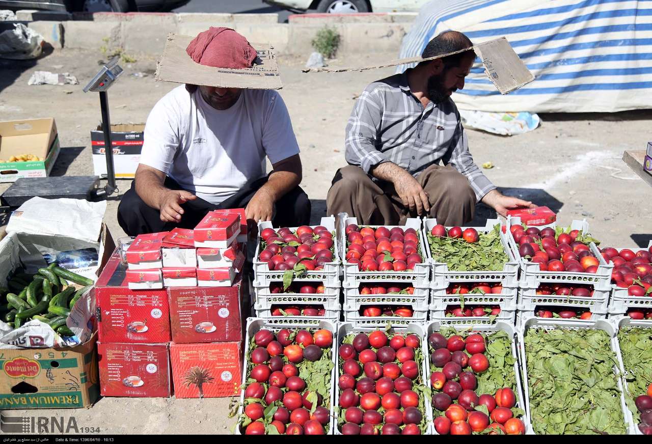 فرماندار سقز: ایجاد روستا بازار فرصتی برای حمایت از محصولات کشاورزی است