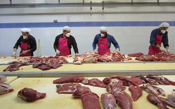 علت افزایش دوباره قیمت گوشت نبودنظارت بر شبكه توزیع است