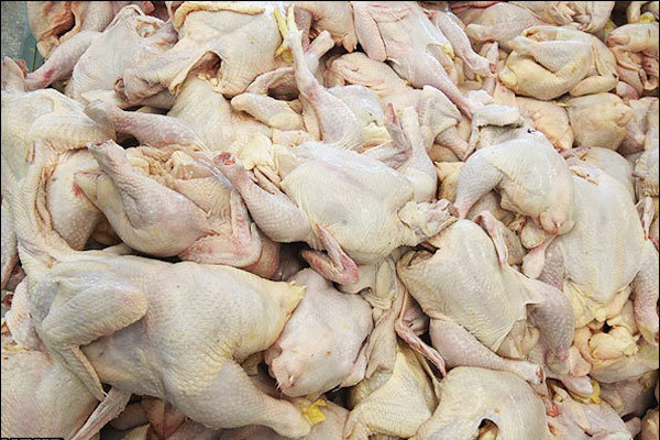 محدودیت حمل و نقل در روزهای تعطیل وافزایش تقاضا قیمت مرغ را بالا برد